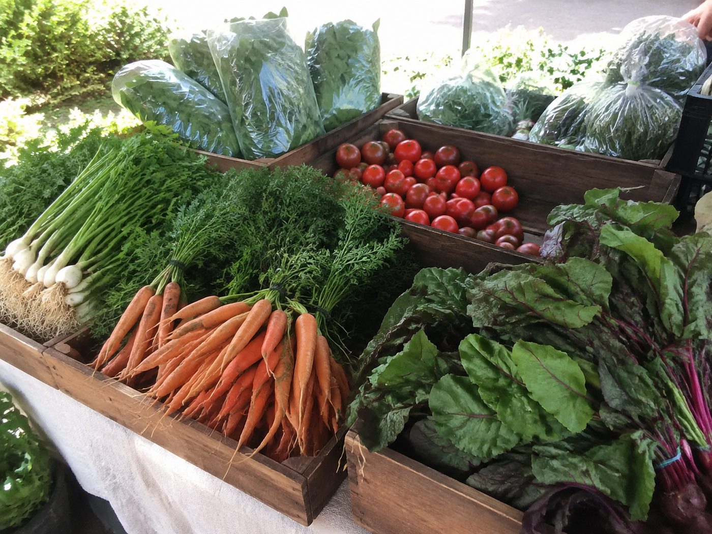 Fresh vegetable crates ready for sale