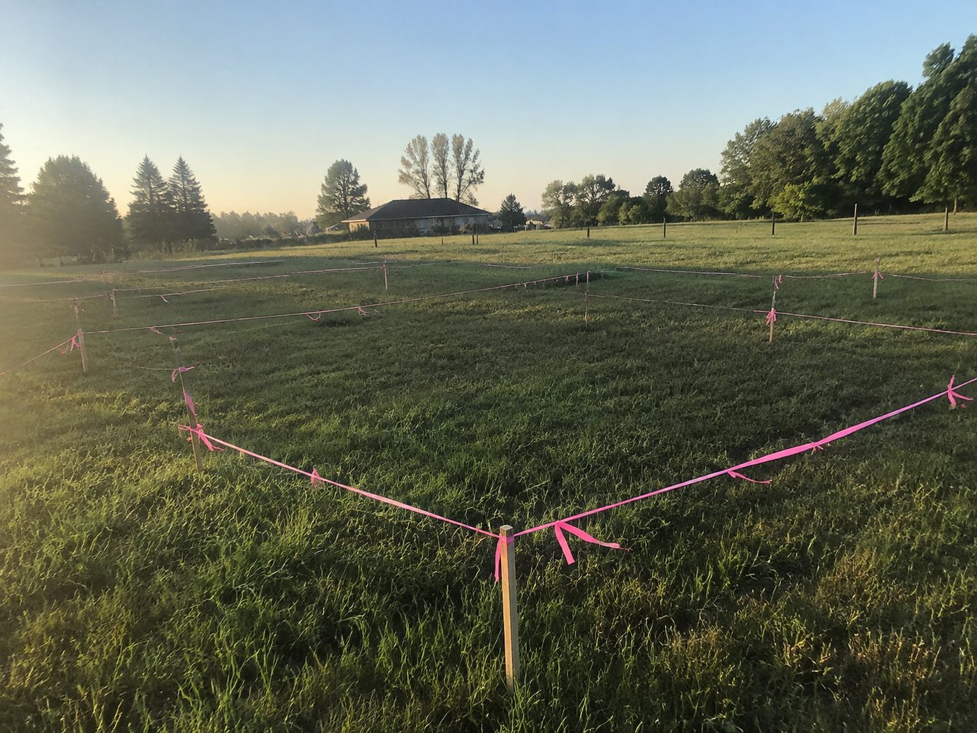 Staked-out 5-acre plot