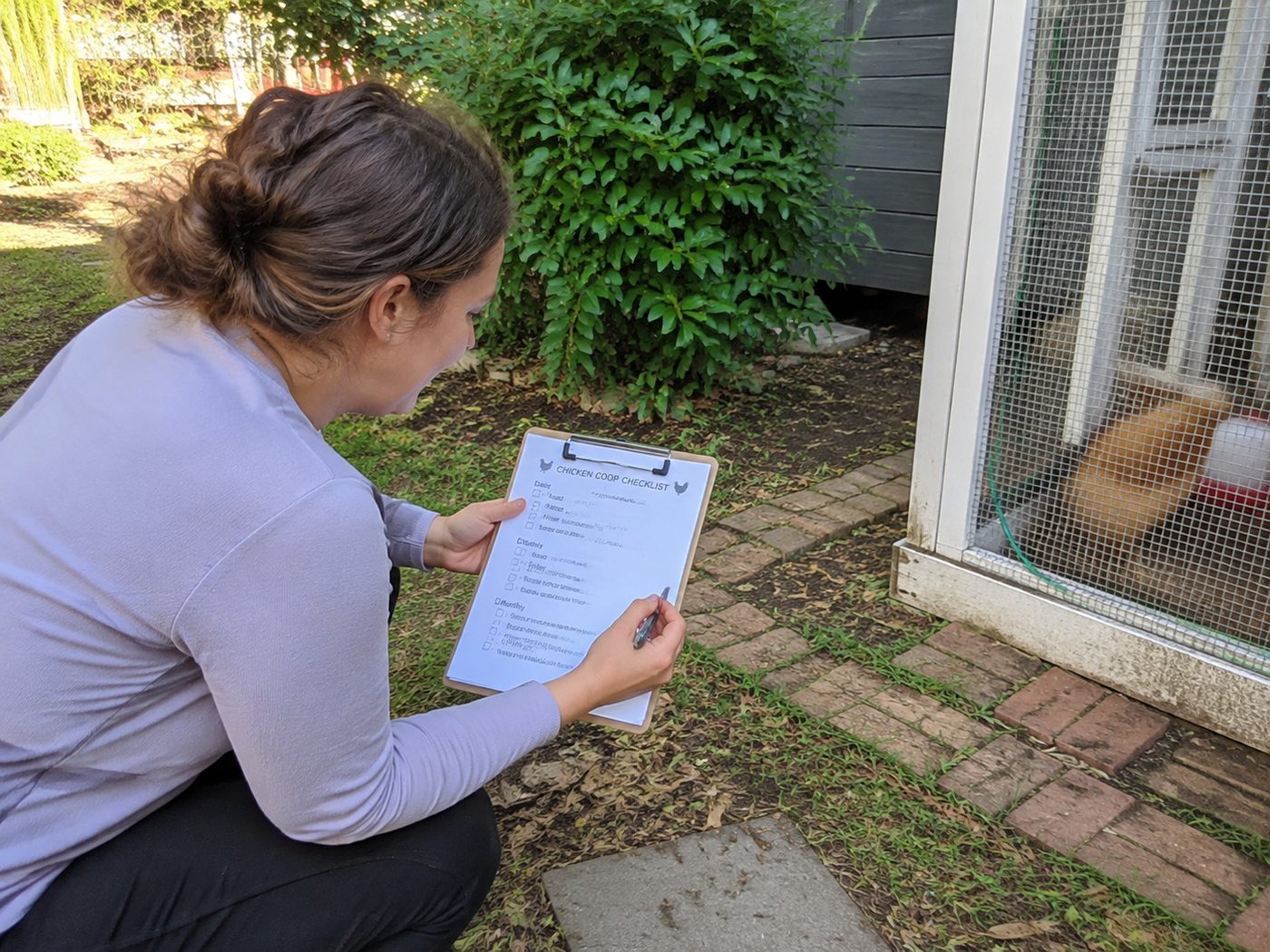 Checking zoning checklist next to a coop